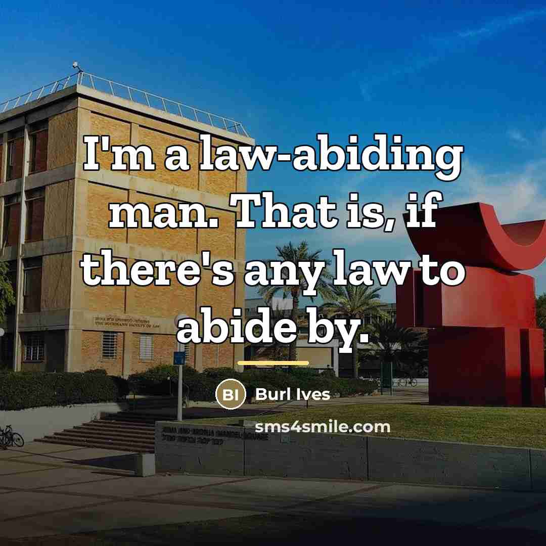 “I'm a law-abiding man. That is, if there's any law…” quote by Burl Ives