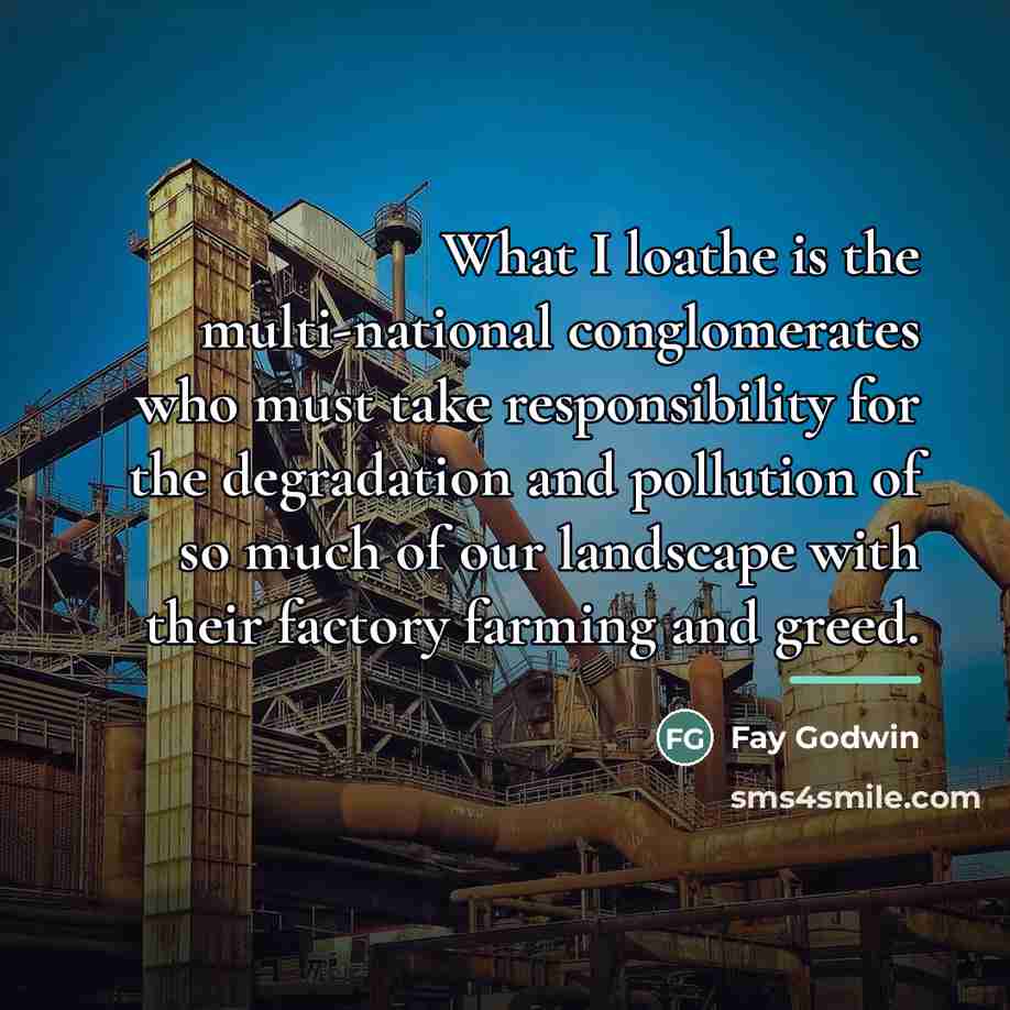 “What I loathe is the multi-national conglomerates who must take…” quote by Fay Godwin