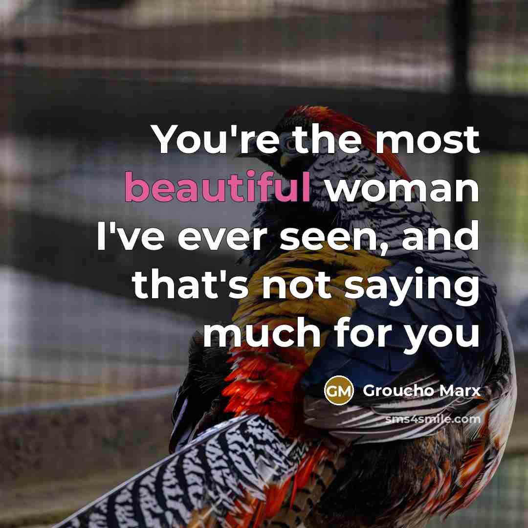 “You're the most beautiful woman I've ever seen, and that's…” quote by Groucho Marx