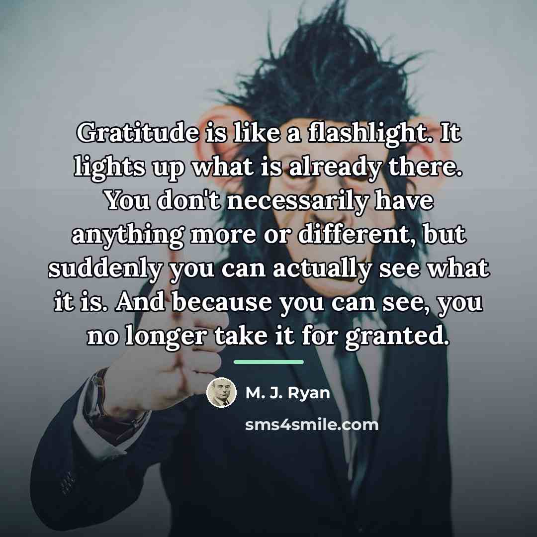 “Gratitude is like a flashlight. It lights up what is…” quote by M. J. Ryan