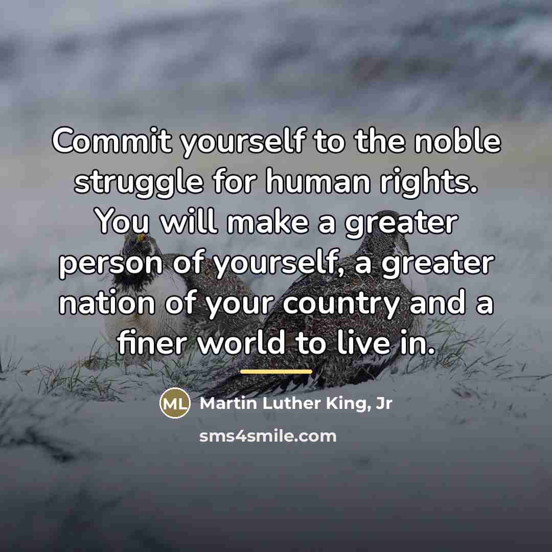 “Commit yourself to the noble struggle for human rights. You…” quote by Martin Luther King, Jr