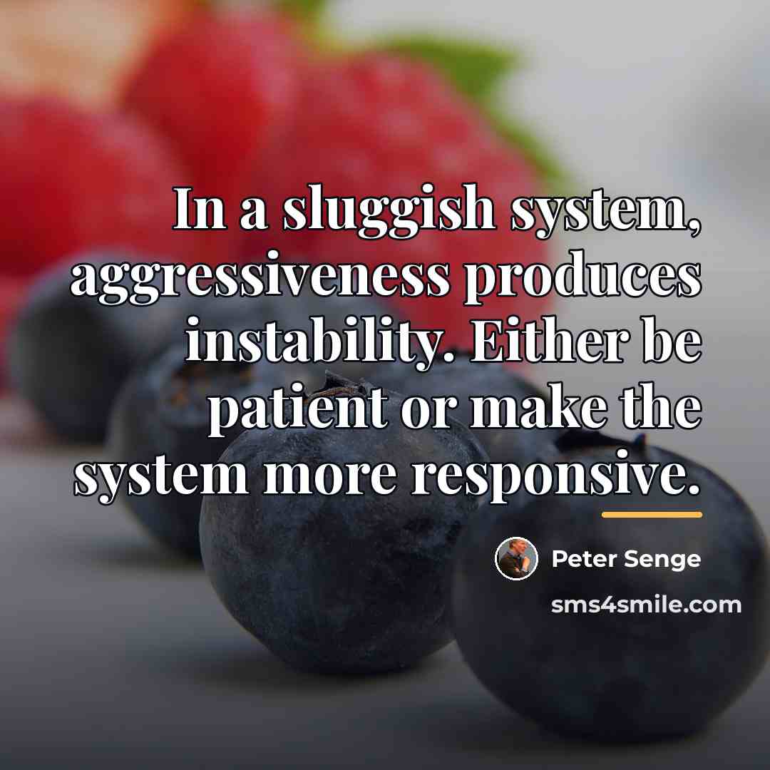 “In a sluggish system, aggressiveness produces instability. Either be patient…” quote by Peter Senge
