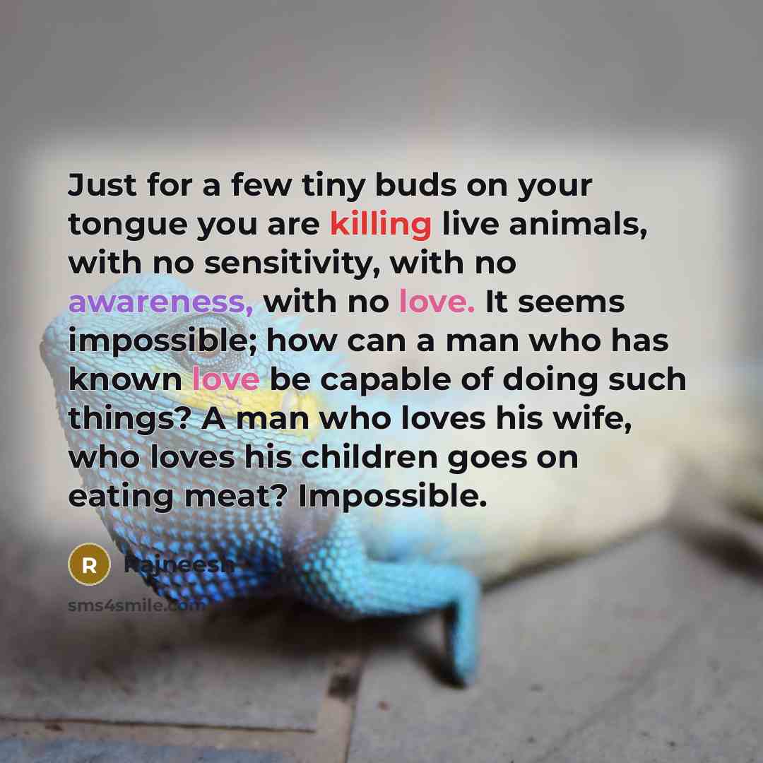 “Just for a few tiny buds on your tongue you…” quote by Rajneesh