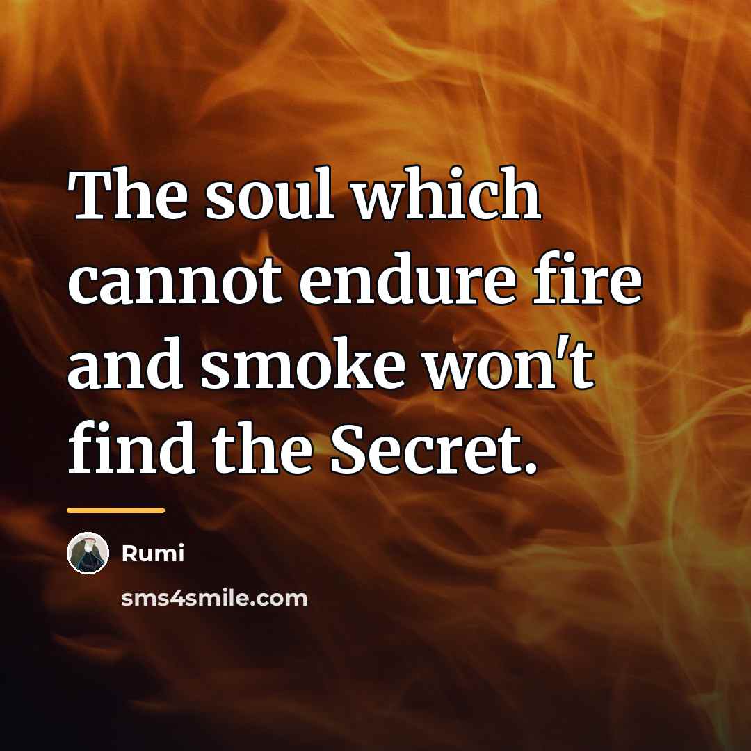 “The soul which cannot endure fire and smoke won't find…” quote by Rumi