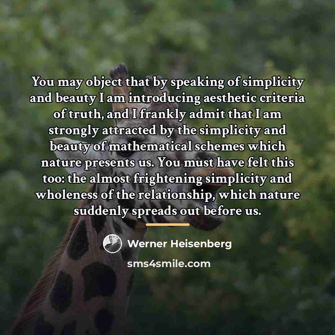 “You may object that by speaking of simplicity and beauty…” quote by Werner Heisenberg