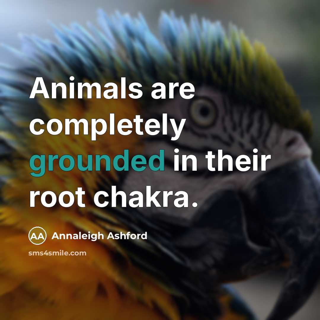 “Animals are completely grounded in their root chakra.” quote by Annaleigh Ashford
