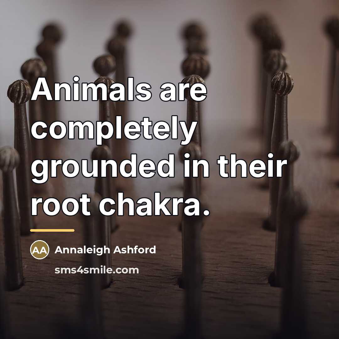 “Animals are completely grounded in their root chakra.…” quote by Annaleigh Ashford