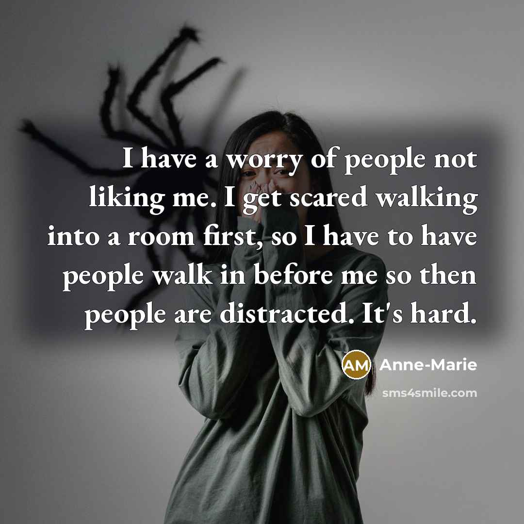 “I have a worry of people not liking me. I…” quote by Anne-Marie