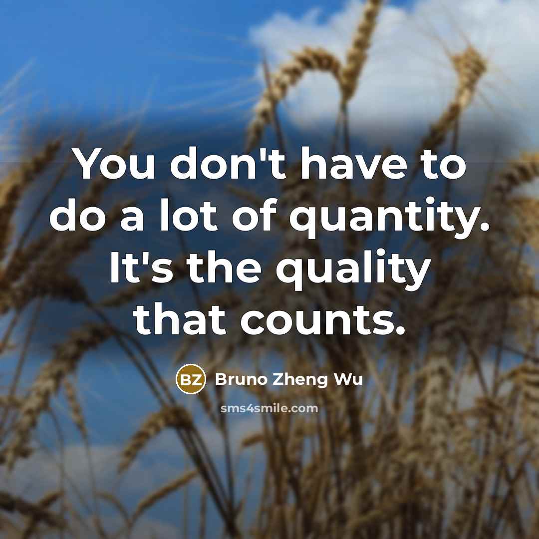 “You don't have to do a lot of quantity. It's…” quote by Bruno Zheng Wu