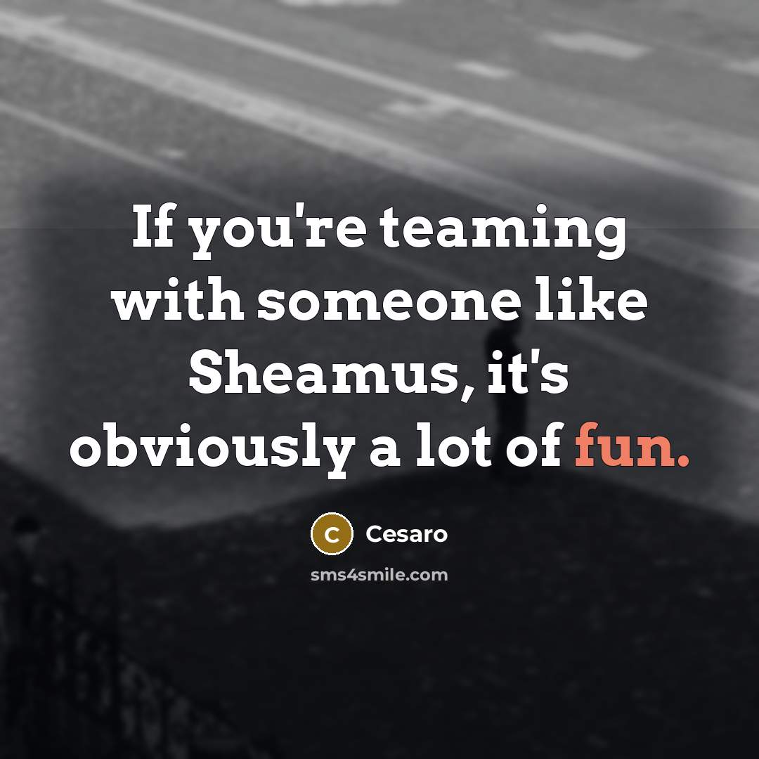 “If you're teaming with someone like Sheamus, it's obviously a…” quote by Cesaro