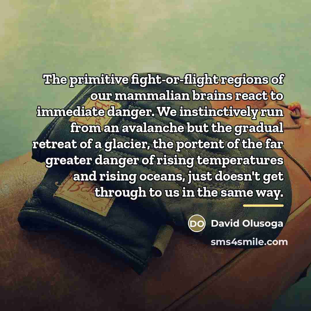 “The primitive fight-or-flight regions of our mammalian brains react to…” quote by David Olusoga