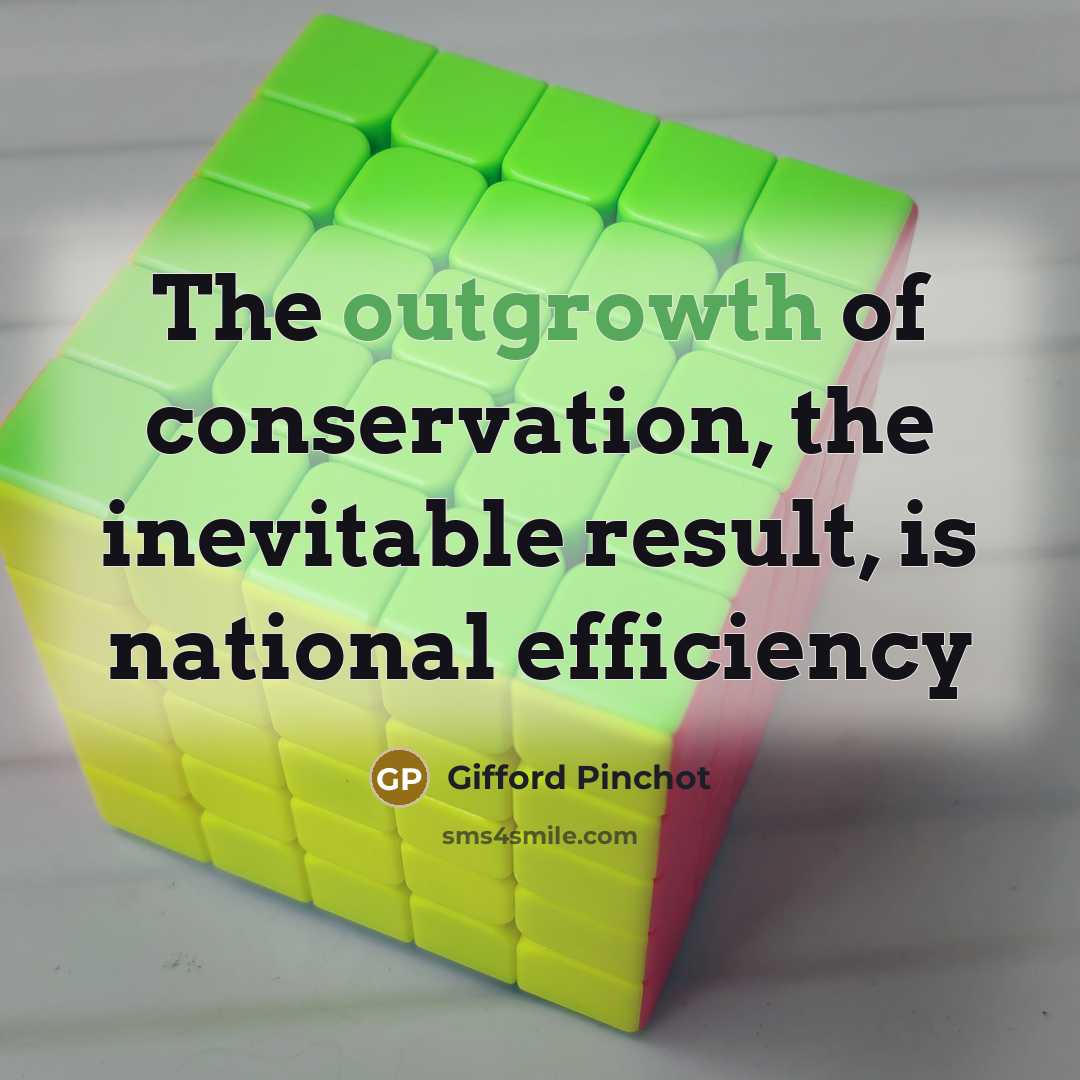 “The outgrowth of conservation, the inevitable result, is national efficiency…” quote by Gifford Pinchot