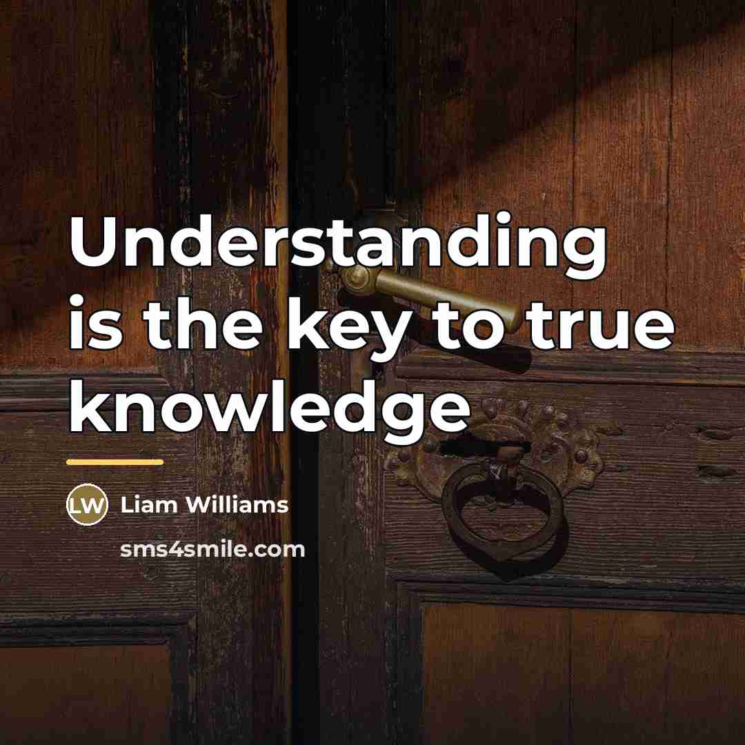 “Understanding is the key to true knowledge…” quote by Liam Williams