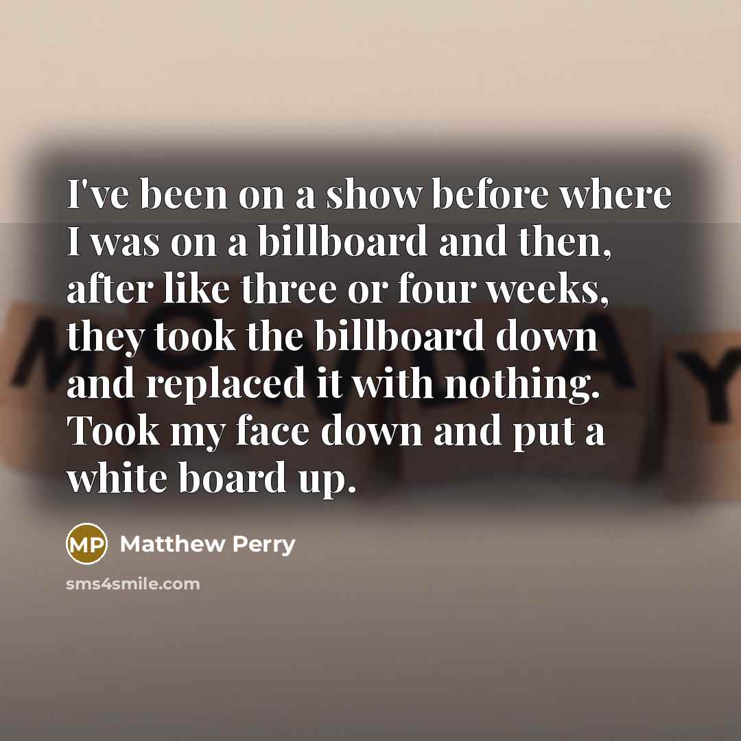 “I've been on a show before where I was on…” quote by Matthew Perry