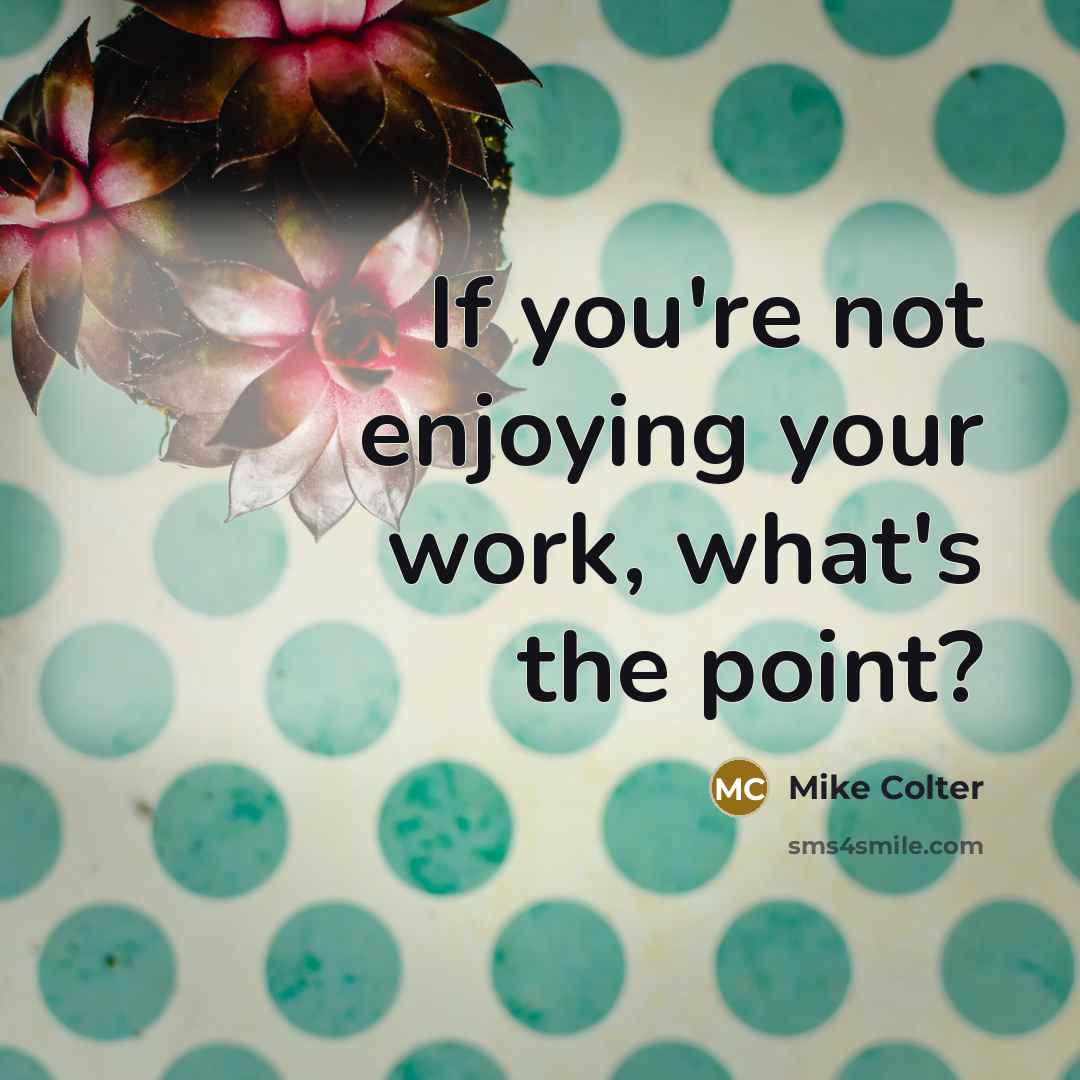 “If you're not enjoying your work, what's the point?…” quote by Mike Colter