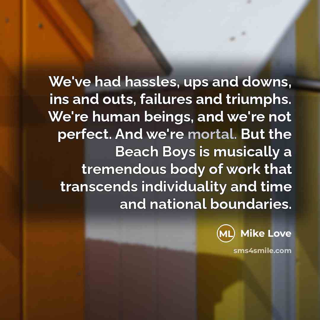 “We've had hassles, ups and downs, ins and outs, failures…” quote by Mike Love