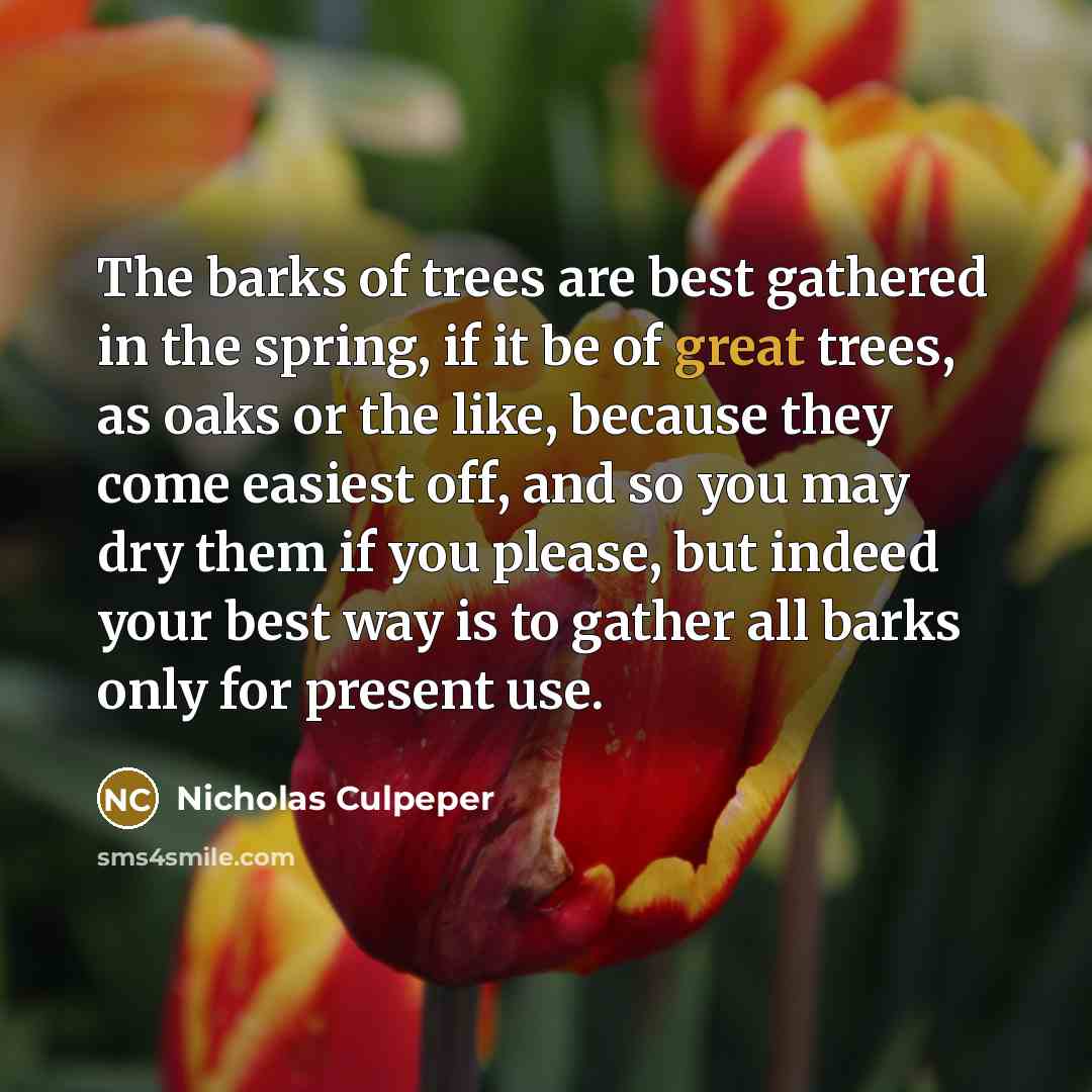 “The barks of trees are best gathered in the spring,…” quote by Nicholas Culpeper