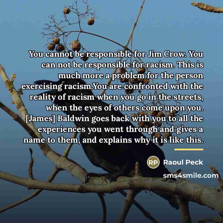 “You cannot be responsible for Jim Crow. You can not…” quote by Raoul Peck