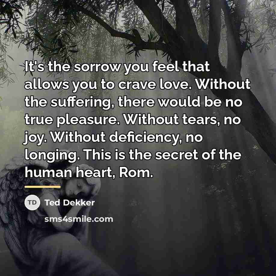 “It's the sorrow you feel that allows you to crave…” quote by Ted Dekker