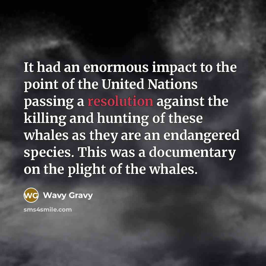 “It had an enormous impact to the point of the…” quote by Wavy Gravy