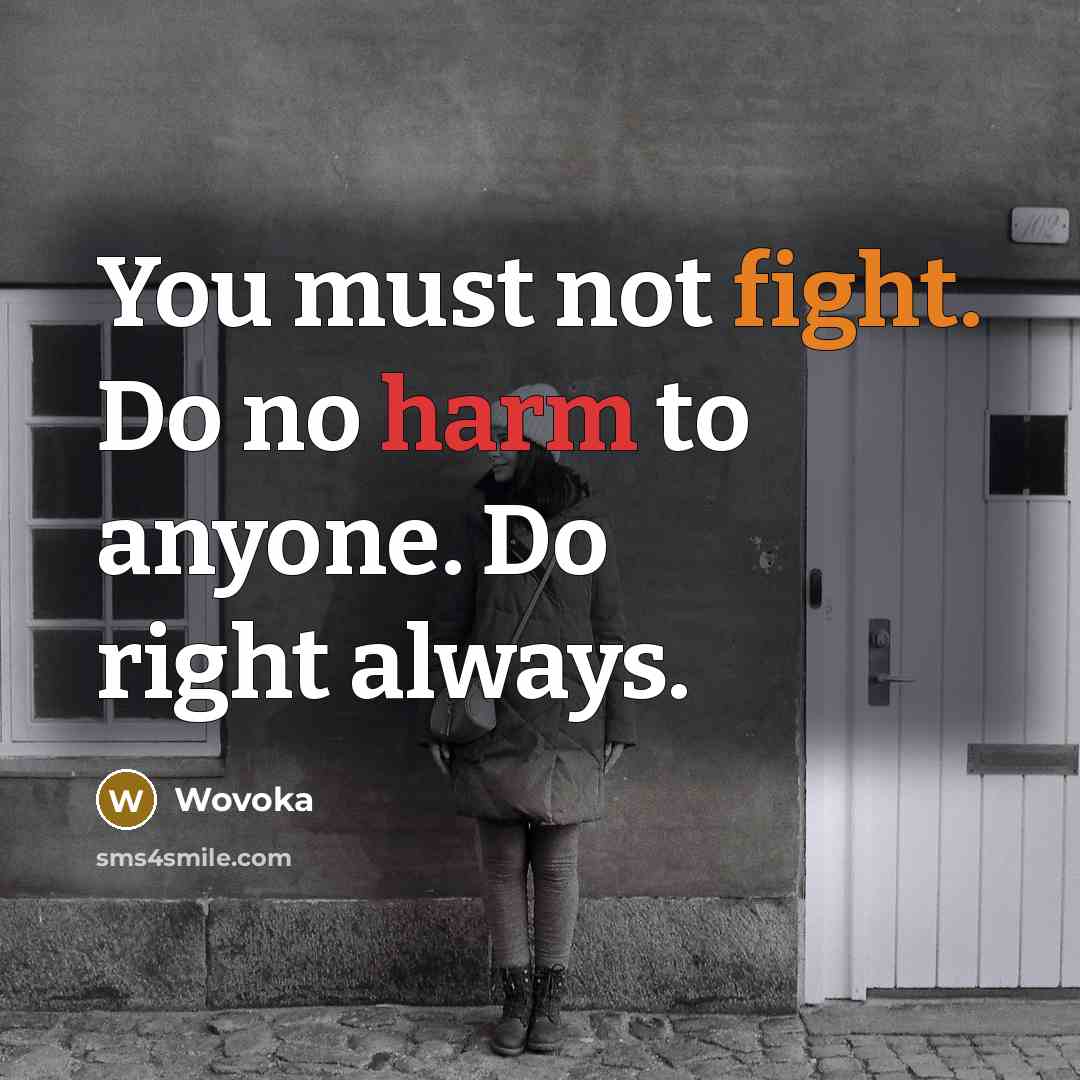 “You must not fight. Do no harm to anyone. Do right always.” quote by Wovoka