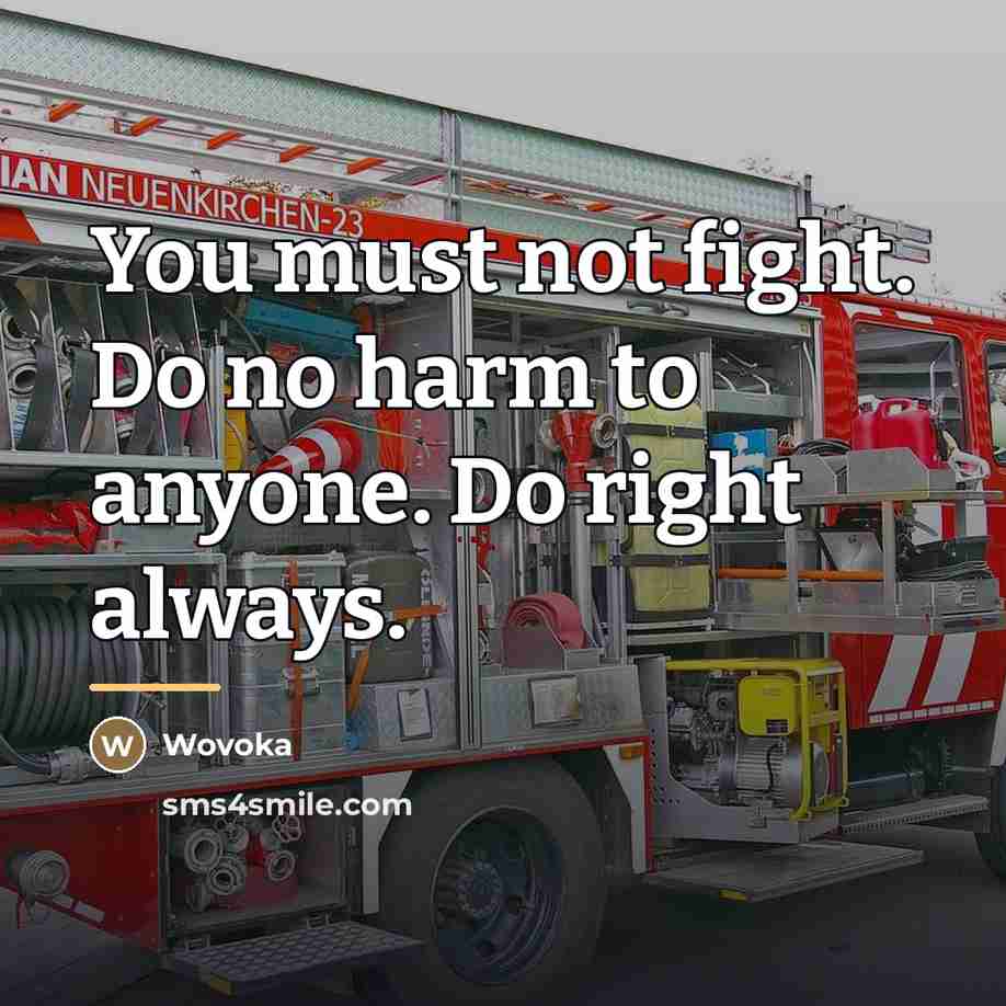 “You must not fight. Do no harm to anyone. Do…” quote by Wovoka