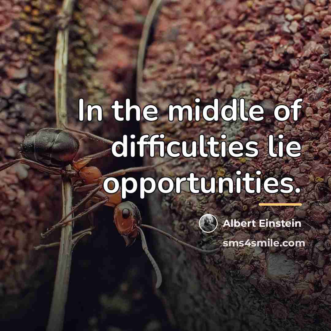 “In the middle of difficulties lie opportunities.…” quote by Albert Einstein