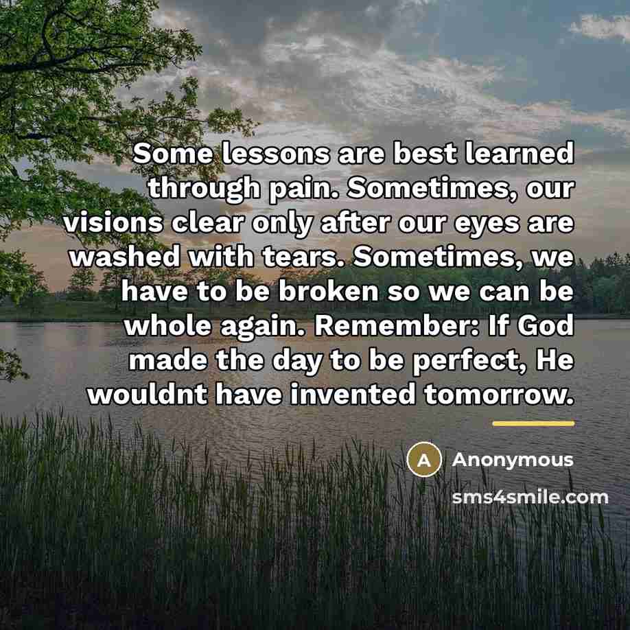 “Some lessons are best learned through pain. Sometimes, our visions…” quote by Anonymous