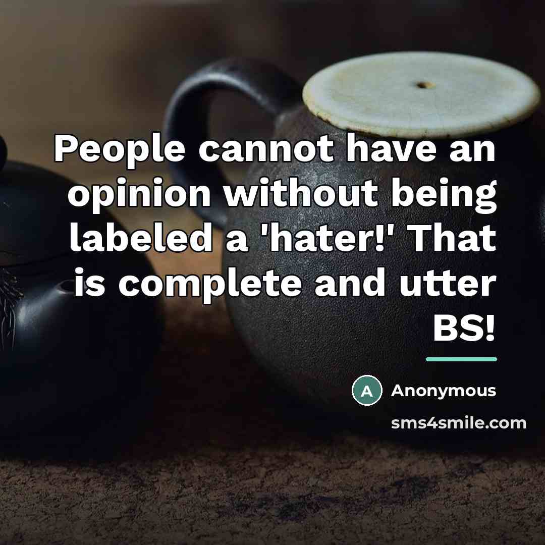 “People cannot have an opinion without being labeled a 'hater!'…” quote by Anonymous
