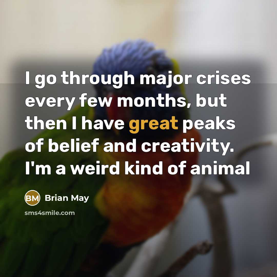 “I go through major crises every few months, but then…” quote by Brian May