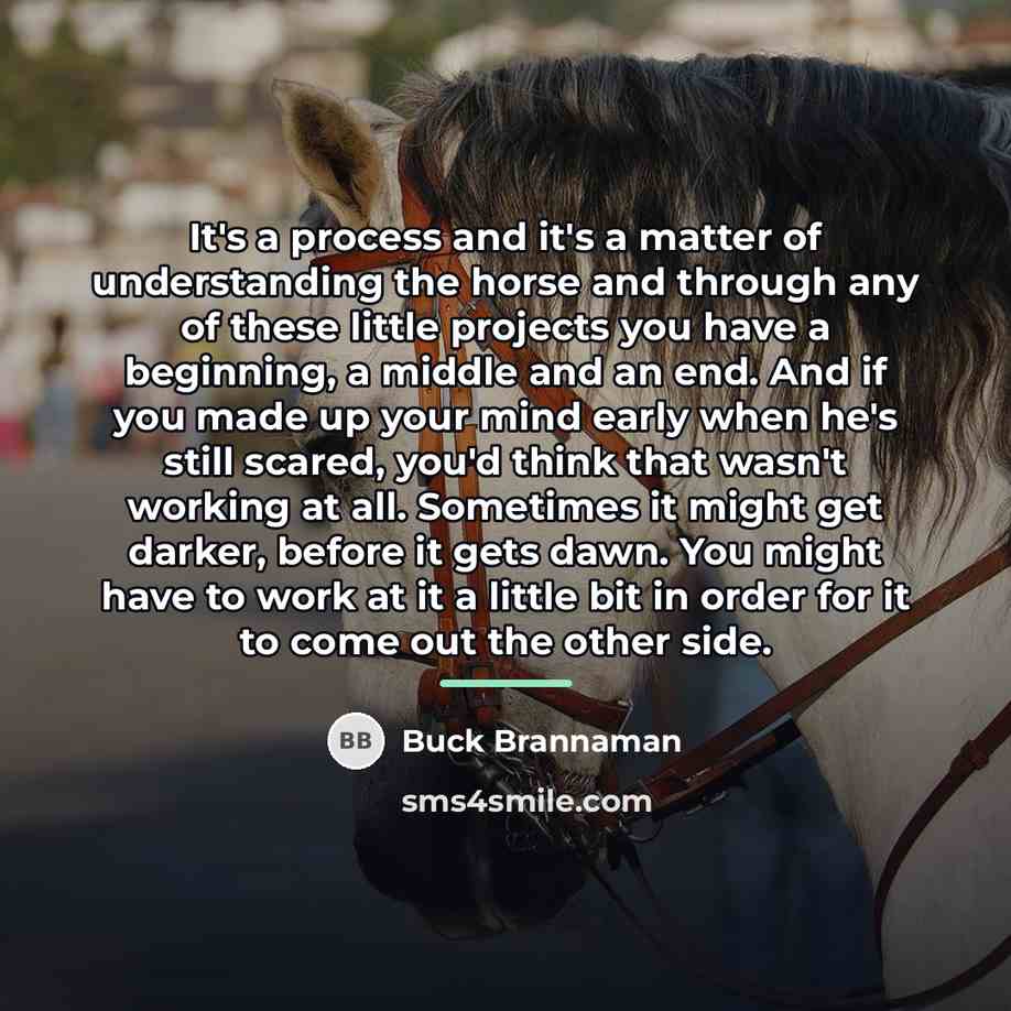 “It's a process and it's a matter of understanding the…” quote by Buck Brannaman