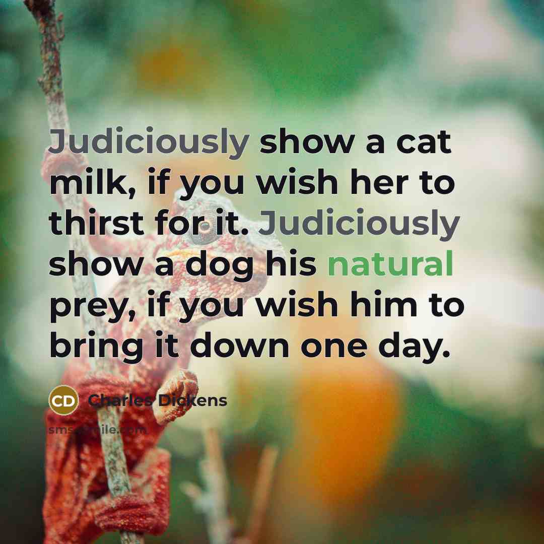 “Judiciously show a cat milk, if you wish her to…” quote by Charles Dickens