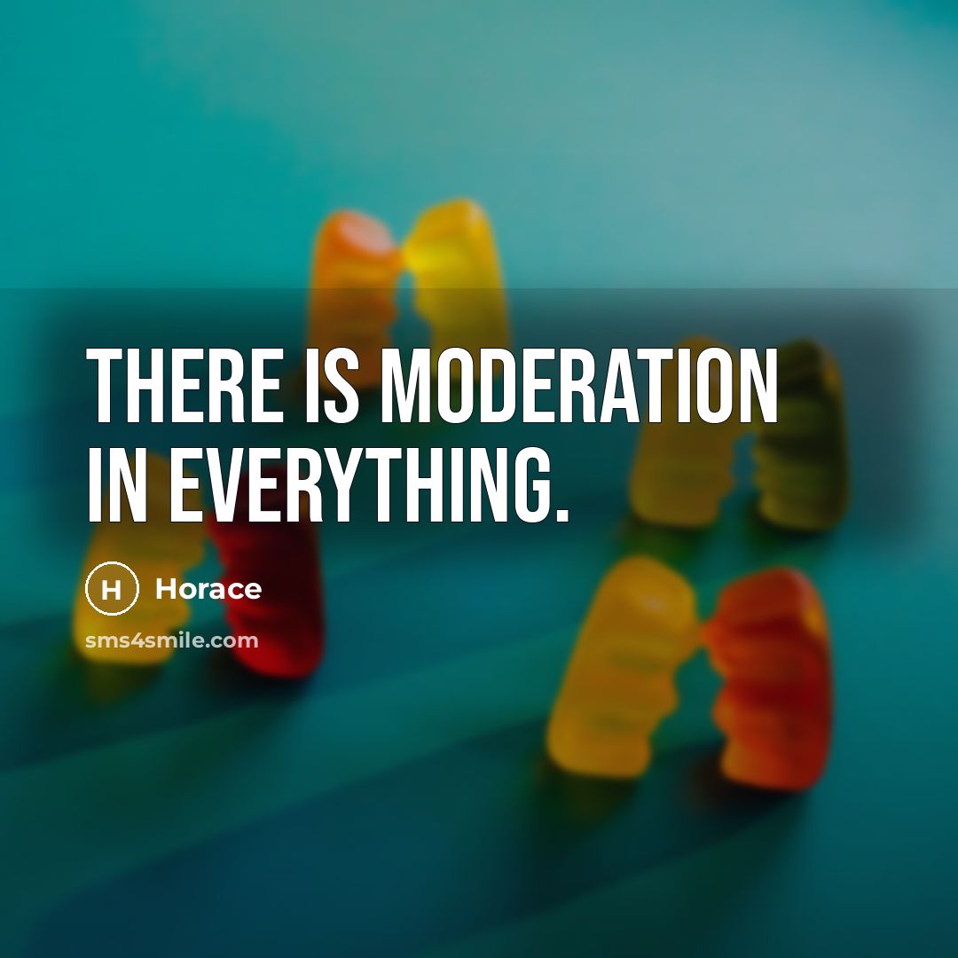 “There is moderation in everything.…” quote by Horace