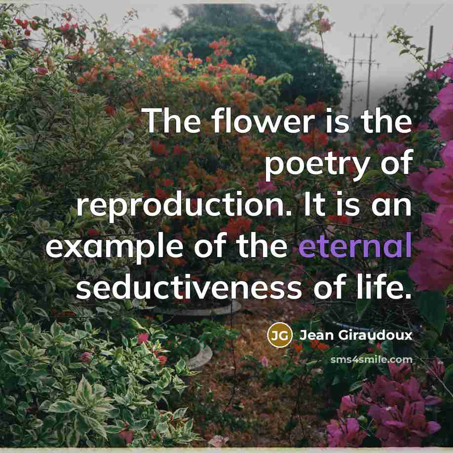 “The flower is the poetry of reproduction. It is an…” quote by Jean Giraudoux