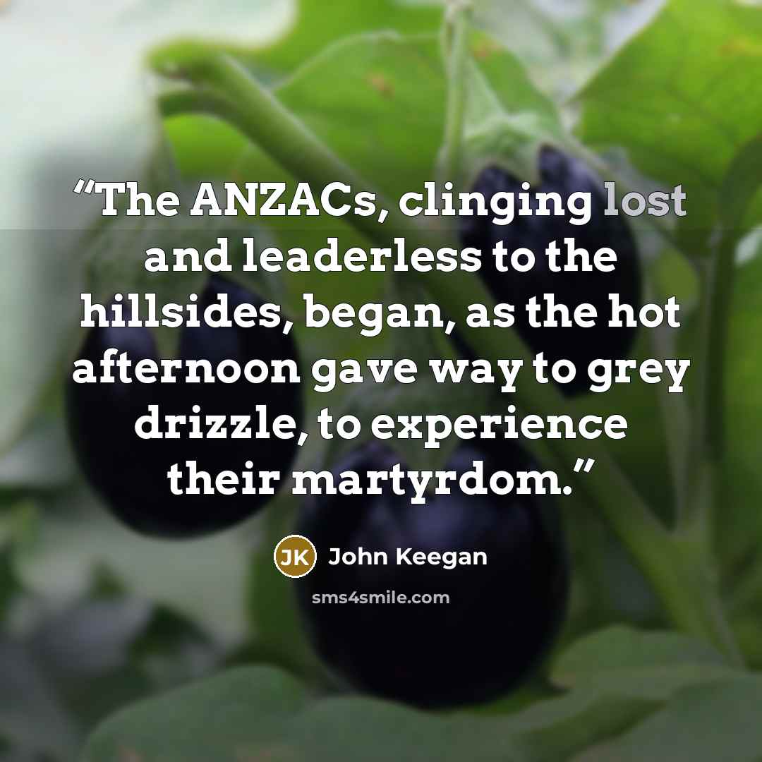 “The ANZACs, clinging lost and leaderless to the hillsides, began, as the hot afternoon gave way to grey drizzle, to experience their martyrdom.” quote by John Keegan