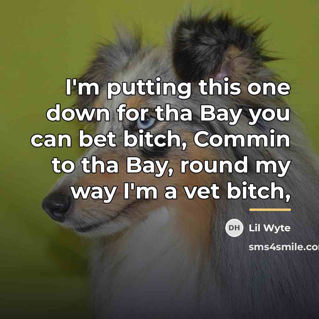 “I'm putting this one down for tha Bay you can…” quote by Lil Wyte