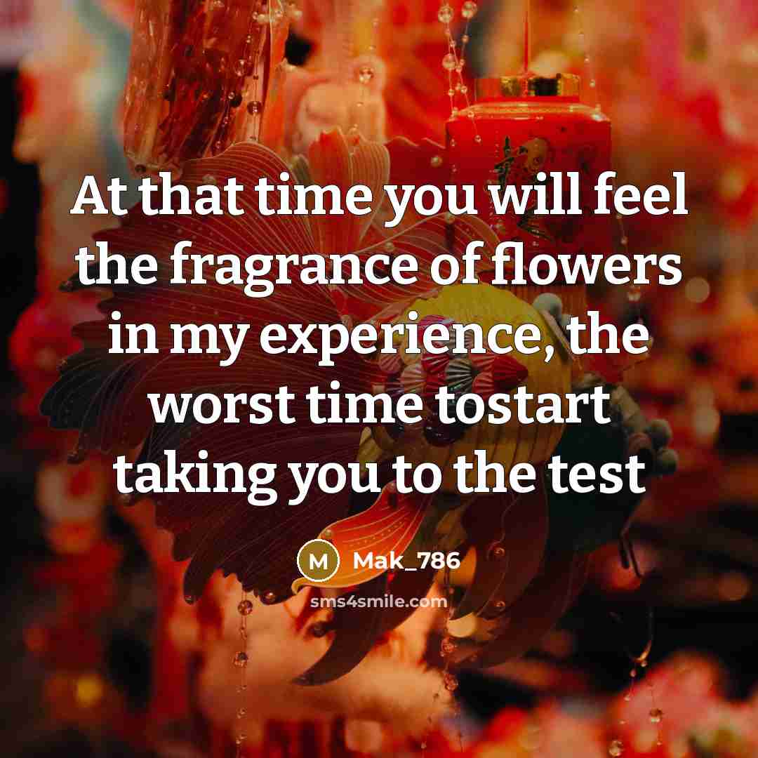 “At that time you will feel the fragrance of flowers…” quote by Mak_786