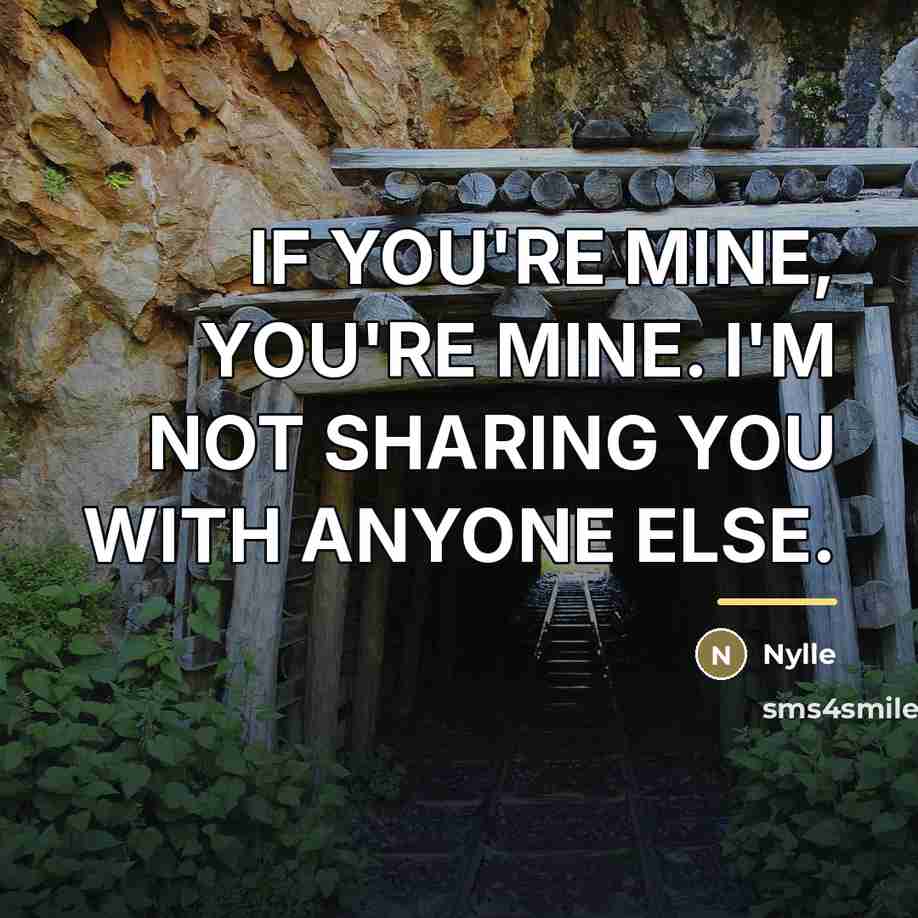 “IF YOU'RE MINE, YOU'RE MINE. I'M NOT SHARING YOU WITH…” quote by Nylle
