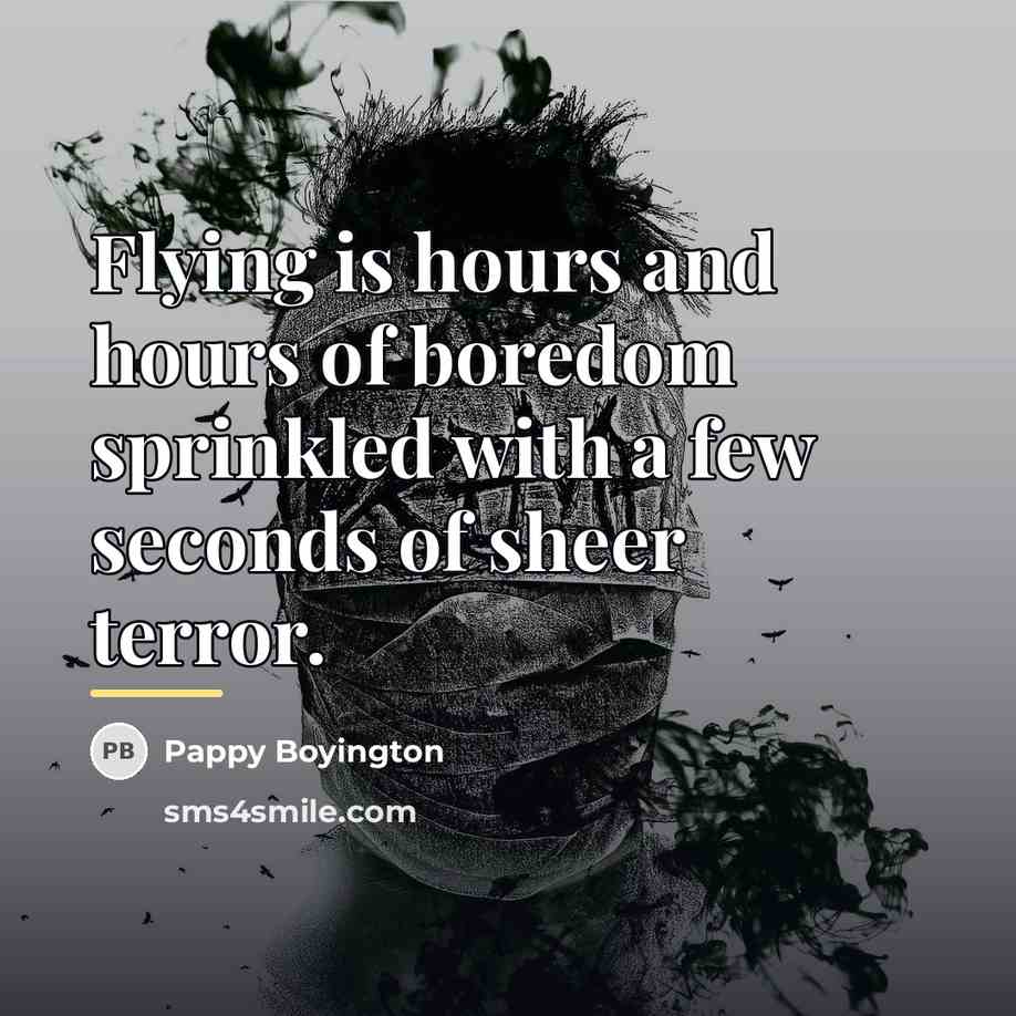 “Flying is hours and hours of boredom sprinkled with a…” quote by Pappy Boyington