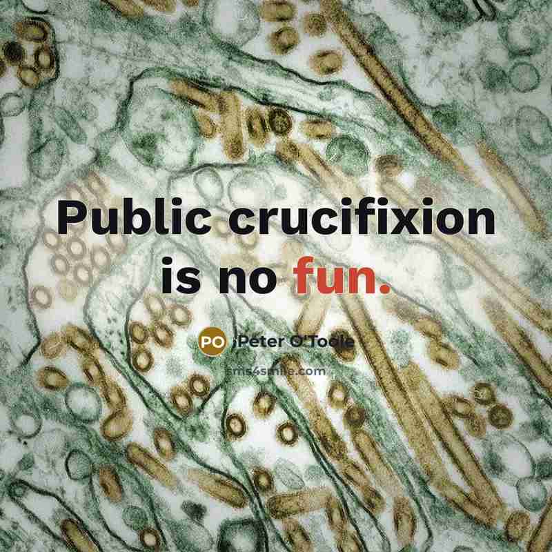 “Public crucifixion is no fun.…” quote by Peter O'Toole