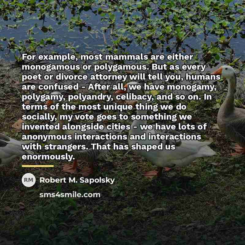 “For example, most mammals are either monogamous or polygamous. But…” quote by Robert M. Sapolsky