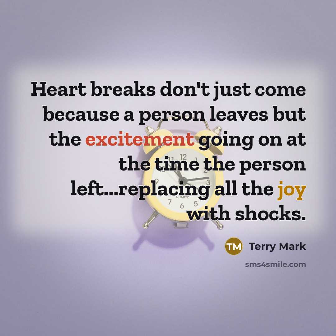 “Heart breaks don't just come because a person leaves but the excitement going on at the time the person left...replacing all the joy with shocks.” quote by Terry Mark