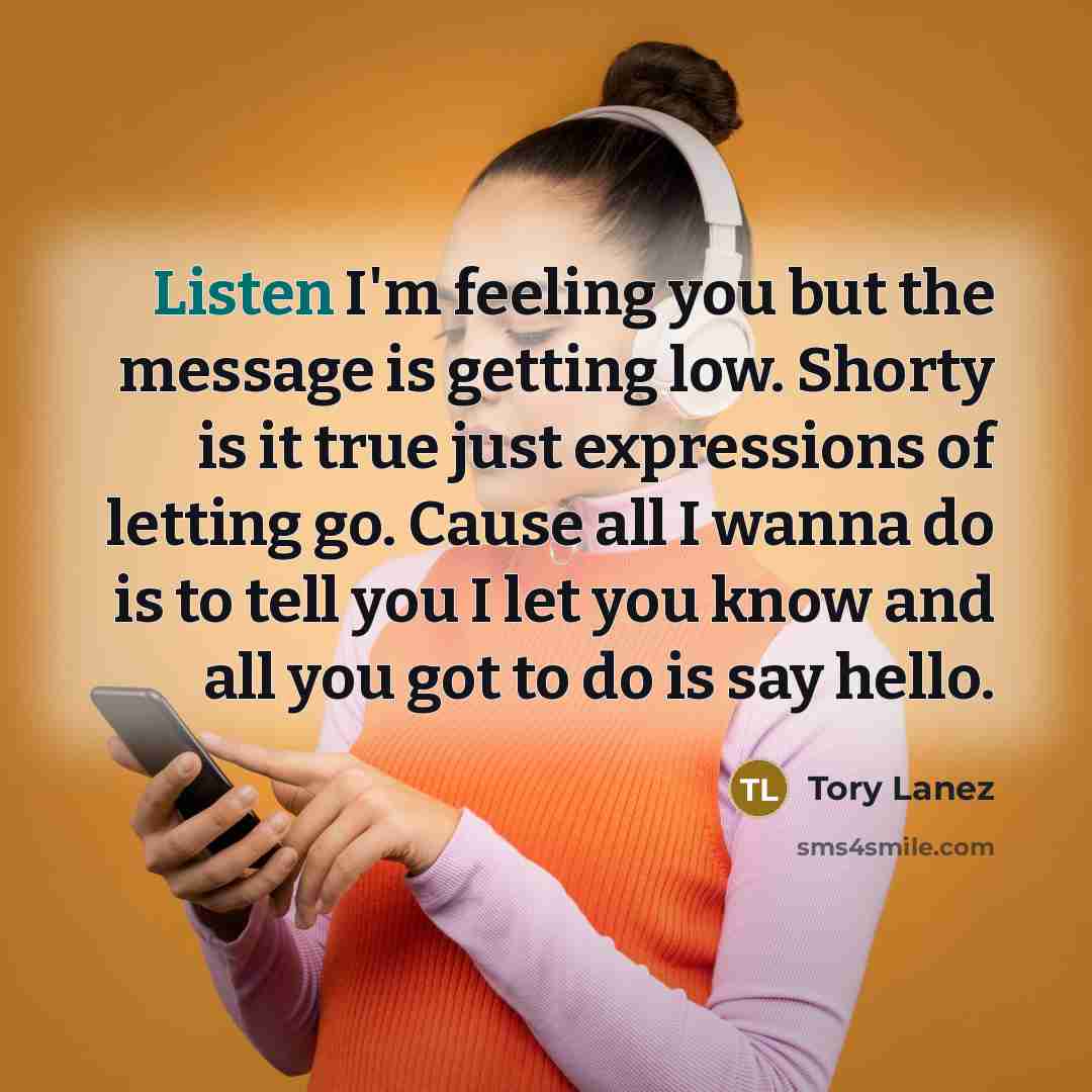 “Listen I'm feeling you but the message is getting low.…” quote by Tory Lanez