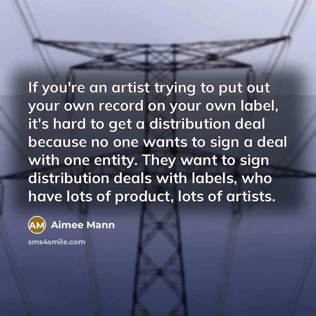 “If you're an artist trying to put out your own…” quote by Aimee Mann
