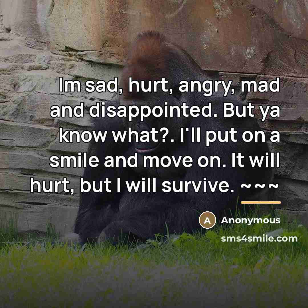 “Im sad, hurt, angry, mad and disappointed. But ya know…” quote by Anonymous