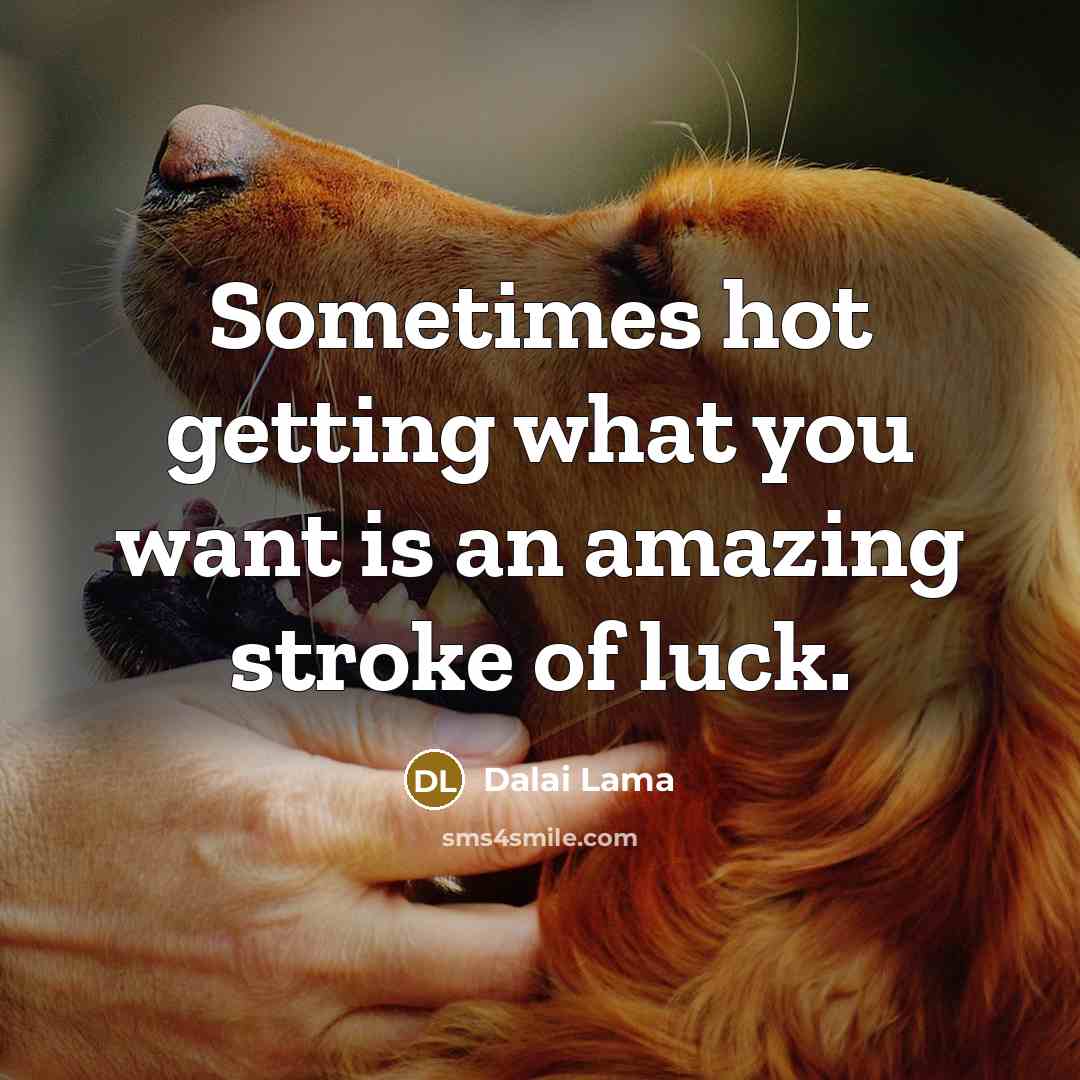 “Sometimes hot getting what you want is an amazing stroke…” quote by Dalai Lama