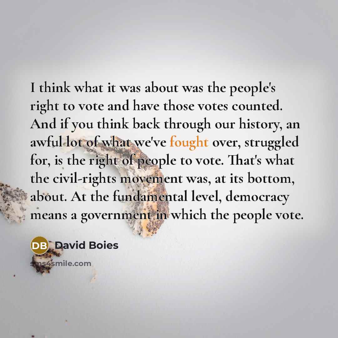 “I think what it was about was the people's right…” quote by David Boies