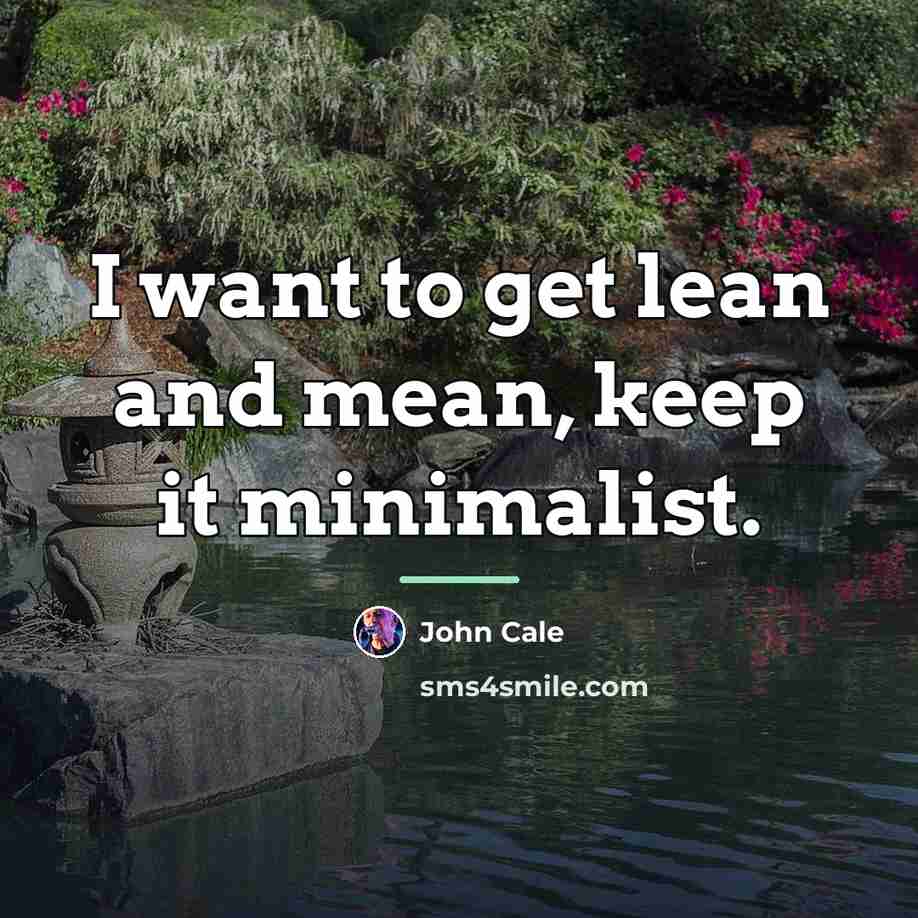 “I want to get lean and mean, keep it minimalist.…” quote by John Cale