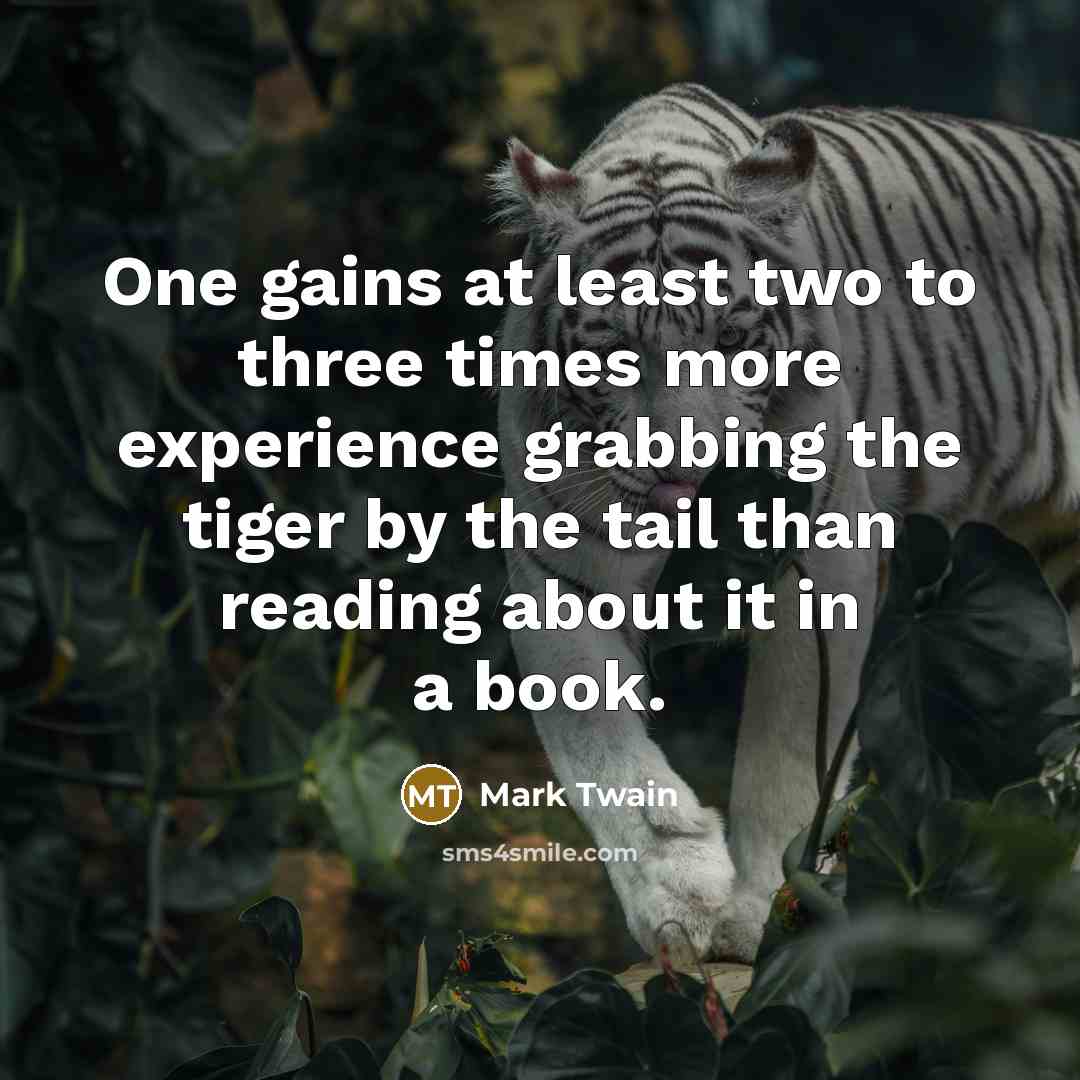 “One gains at least two to three times more experience…” quote by Mark Twain