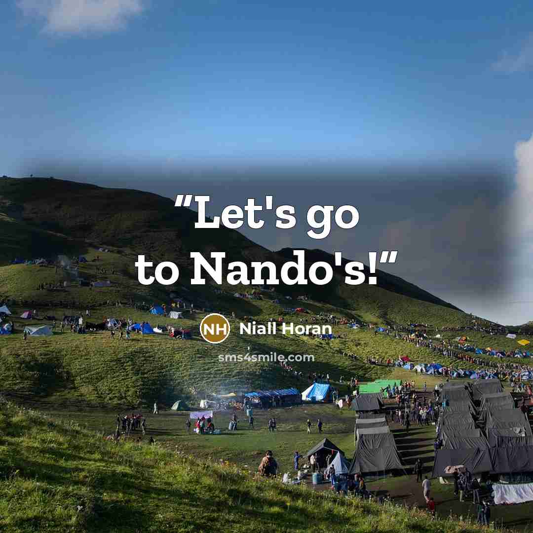 “Let's go to Nando's!” quote by Niall Horan